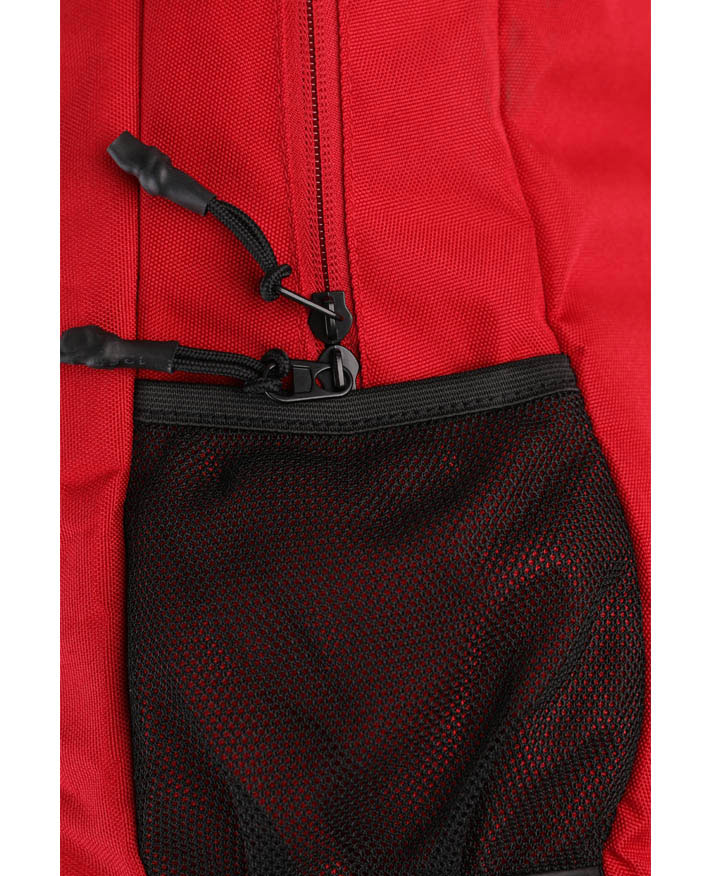 /Images/Product/ProductGallery/Ash-Red-Zoom-5210092612.jpg