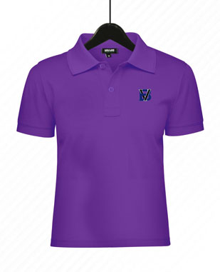 BVA House T-shirt
