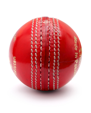 Cricket Hard Ball Junior